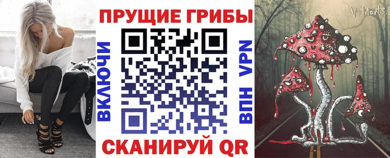 omg ТОР  Малоярославец  Галлюциногенные грибы ЛСД 