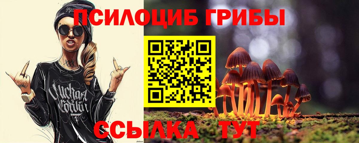 Псилоцибиновые грибы GOLDEN TEACHER  Вход с VPN  Малоярославец 